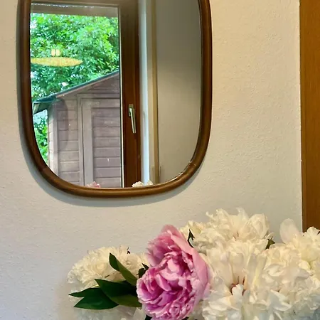 Wohnen Im Holzhaus 公寓 *