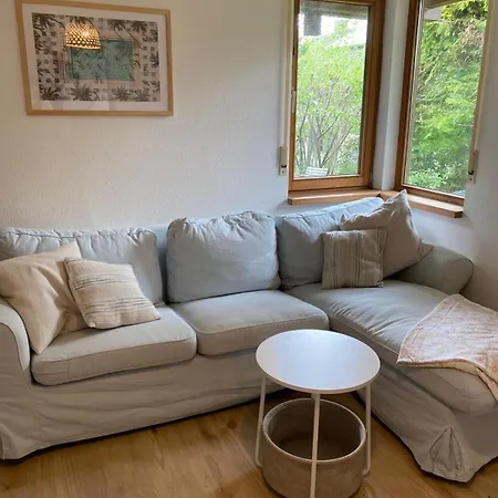 Wohnen Im Holzhaus 罗伊特林根